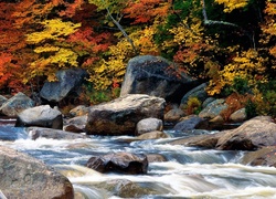 Jesień, Rzeka, Kamienie