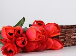 Czerwone, Tulipany, Wiklinowy, Kosz
