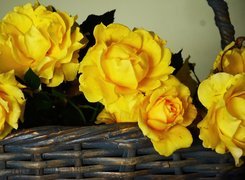 Żółte, Róże, Wiklinowy, Koszyk