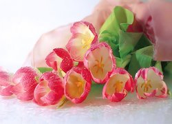Różowe, Tulipany, Krople, Rosy
