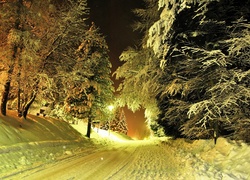 Droga, Drzewa, Śnieg