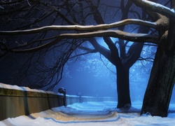 Ogrodzenie, Dróżka, Drzewa, Śnieg