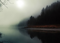 Rzeka, Las, Mgła