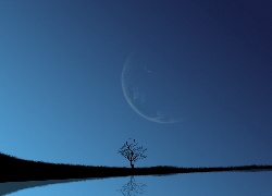 Woda, Niebo, Księżyc, Drzewo