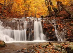 Jesień, Las, Wodospad, Liście