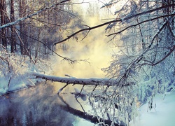 Rzeka, Drzewa, Śnieg