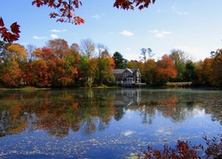 Jezioro, Dom, Drzewa
