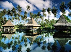 Polinezja Francuska, Wyspa Moorea, Domki, Palmy