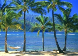 Hawaje, Kauai, Woda, Palmy, Hamak