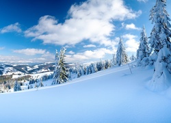 Wzgórza, Drzewa, Niebo, Śnieg