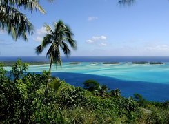 Polinezja Francuska, Bora Bora, Woda, Palmy, Zieleń