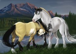 Konie, Miłość