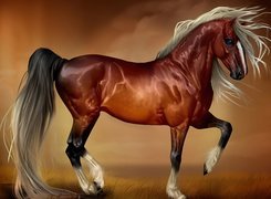 Koń, Biała, Grzywa, Art