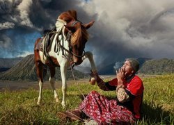 Koń, Łąka, Tybetańczyk, Przyjaźń
