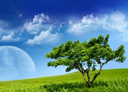 Łąka, Drzewo, Chmury, Planeta