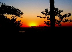 Zachód Słońca, Drzewa, Andaluzja