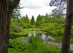 Ogród, Botaniczny