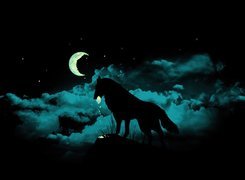 Wilk, Księżyc, Noc
