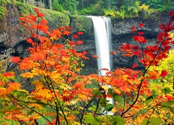 Wodospad, Drzewa, Jesień