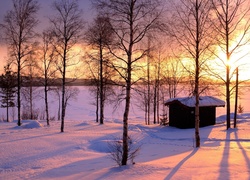 Drzewa, Śnieg, Zachód Słońca