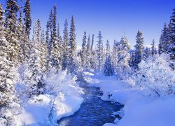 Zima, Rzeczka, Ośnieżone, Drzewa, Śnieg