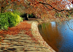 Rzeka, Bulwar, Jesień, Liście, Drzewa