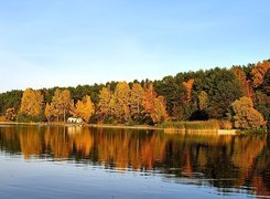 Jezioro, Jesień, Drzewa, Liście, Niebo