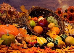 Dary, Jesieni, Owoce