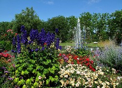 Park, Kwiaty, Fontanna
