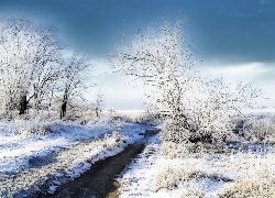 Drzewa, Łąka, Pokryte, Śniegiem, Rzeczka