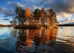 Jezioro, Wysepka, Drzewa, Vuoksa, Finlandia