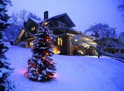 Zima, Boże Narodzenie, Dom, Oświetlona, Choinka