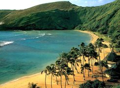 Morze, Plaża, Palmy, Góry, Oahu, Hawaje