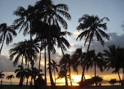 Zachód Słońca, Palmy, Oahu, Hawaje