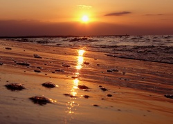 Plaża, Morze, Zachód Słońca