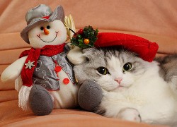 Kotek, Bałwanek, Święta