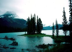 Jezioro, Wysepka, Góry, Drzewa, Alberta