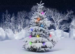 Oświetlona, Choinka, Drzewa, Zima, Świątecznie