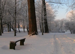 Zima, Park, Drzewa, Ławka, Śnieg