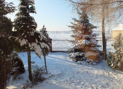 Drzewa, Śnieg, Płot