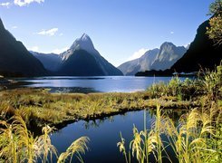 Jezioro, Góry, Roślinność, Milford, Nowa Zelandia