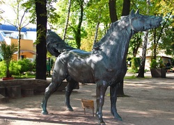 Rzeźba, Koń, Stare Zoo, Poznań
