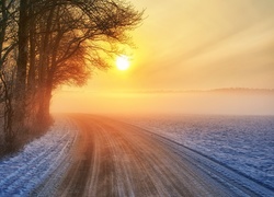 Zima, Zachód Słońca, Droga, Zakręt, Drzewa
