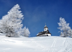 Kościółek, Drzewa, Zima