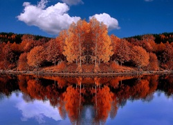 Jesień, Czerwone, Drzewa, Woda, Odbicie