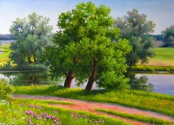 Droga, Drzewa, Rzeka, Polne, Kwiaty