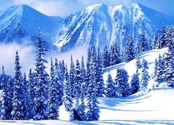 Zima, Góry, Ośnieżone, Drzewa