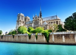 Katedra, Notre Dame, Paryż, Francja
