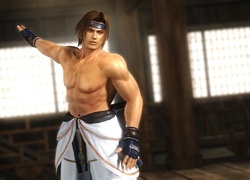 Dead Or Alive 5, Hayate