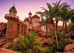 Zamek, Palmy, Disneyland